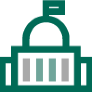 Federal Government icon